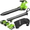 Greenworks Bladblazer/Zuiger 40V DIGIPRO Met 2x 2.0Ah Accu En Lader -Tuinmachines Winkel 13558 0 800x800 1